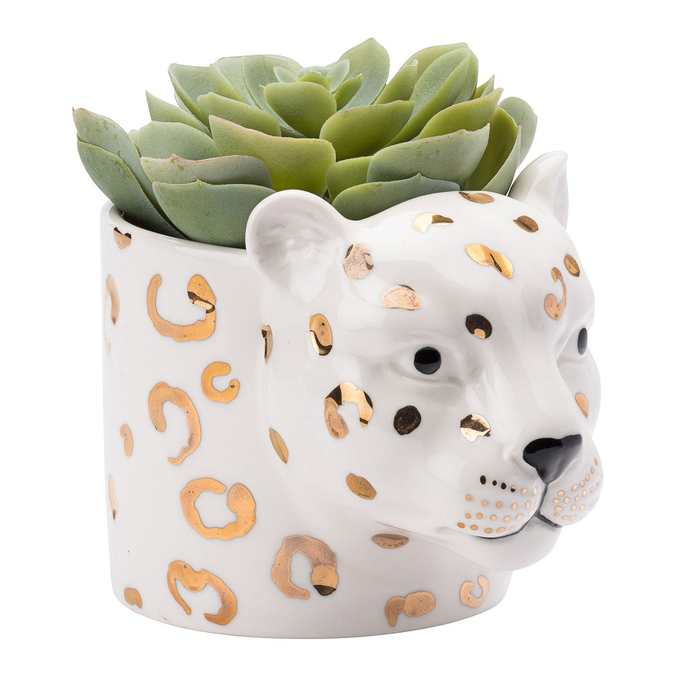 leopard plant pot The English Tableware Company Looking Wild Leopard Planter – Maison Home