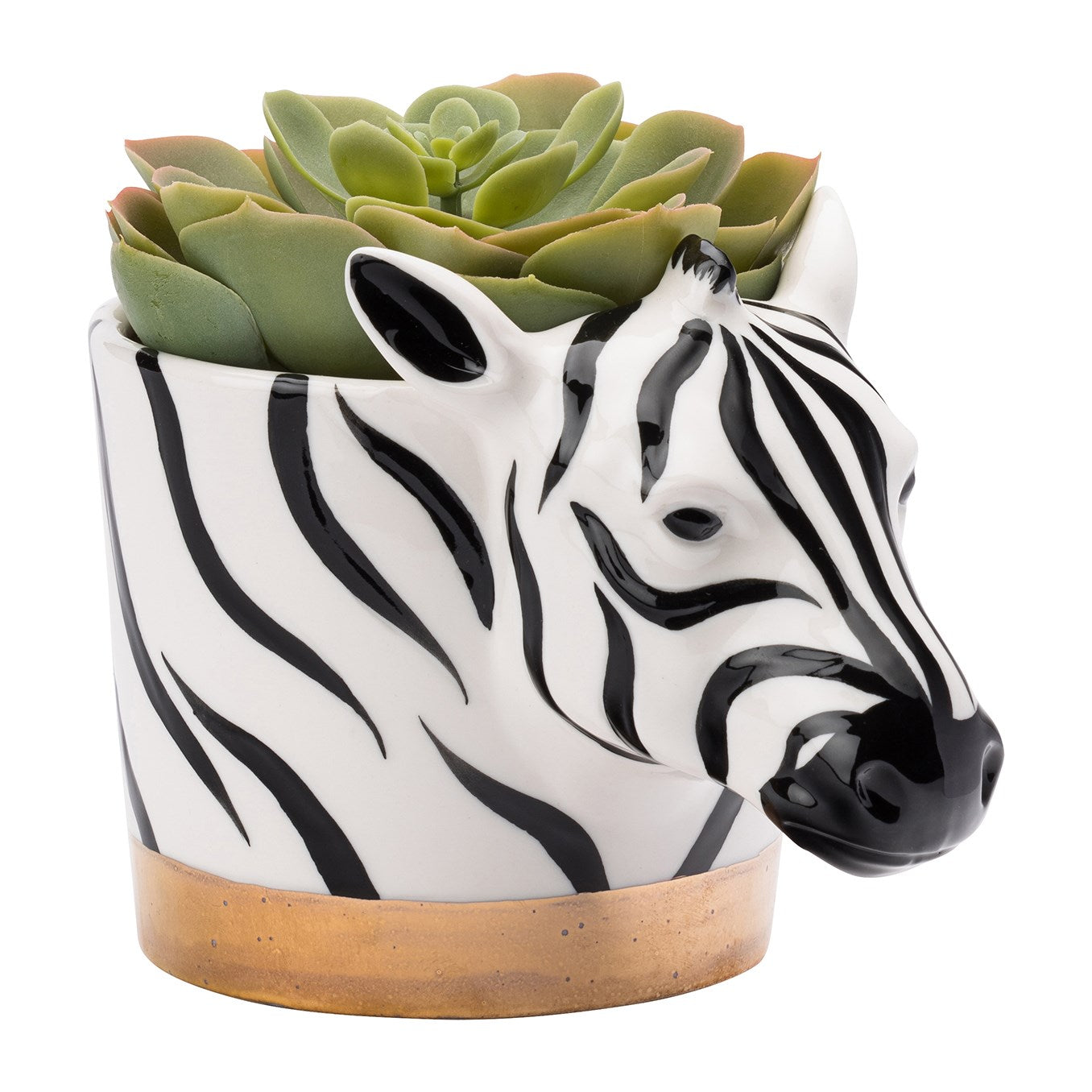 The English Tableware Company Looking Wild Zebra Planter